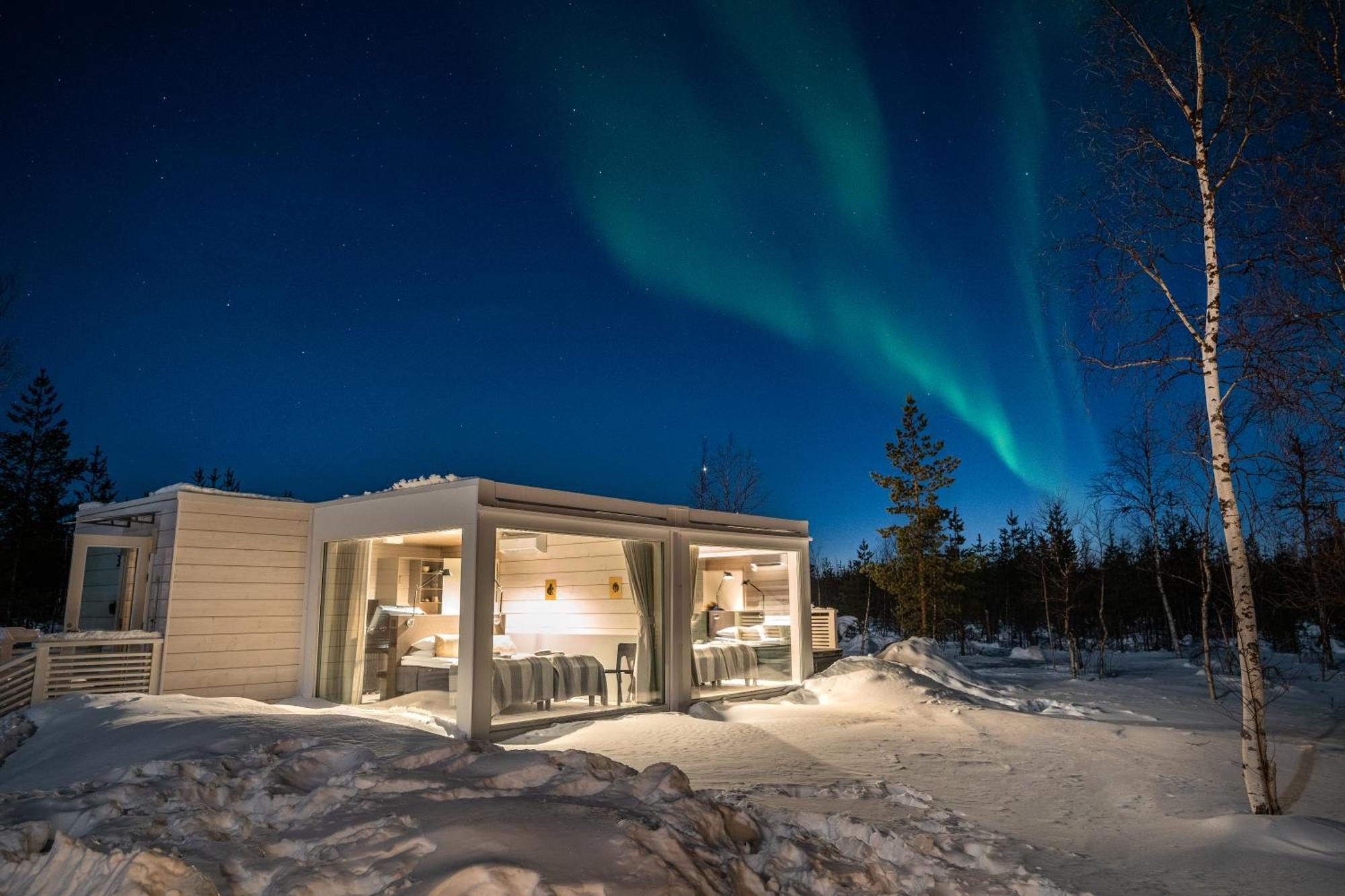 Northern Lights Ranch Леви Стая снимка